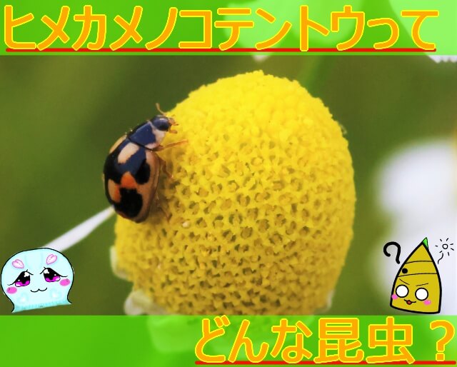 Thumbnail of post image 144